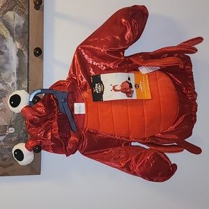 Infant Halloween Costume. 6-12 Months. Lobster Costume Hyde and EEK